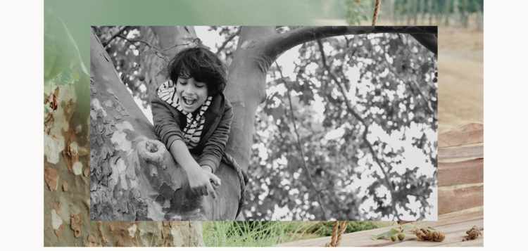 For a carefree future